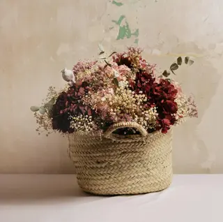 Cesta Gaia