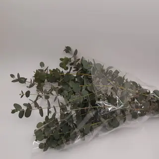 Paquete de eucalipto