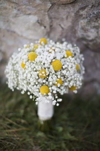 Dried Craspedia Bouquet