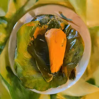 Moimoi Elewe