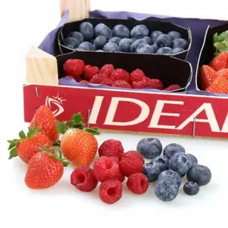 Surtidos de Fresas Y Frutos Rojos de España 750 Gr