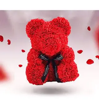 Teddy Rose 