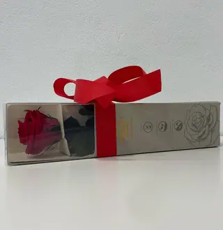Rosa Preservada 30CM