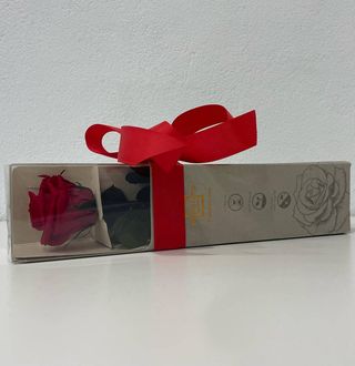 Rosa Preservada 30CM