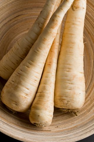 PASTARNAC RADACINA (kg)