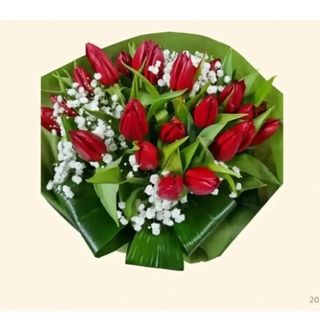 10 tulipani rossi con nebbiolina 