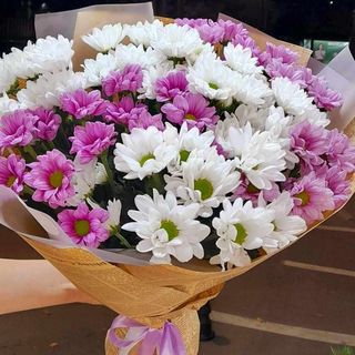 ქრიზანთემების მიქს თაიგული 