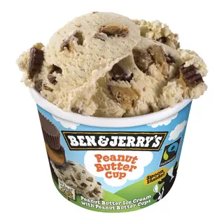 Ben & Jerrys - Peanut Butter Cup Mini