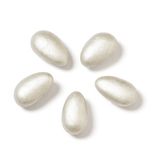 Fascionella Argentati Monodose 500 G