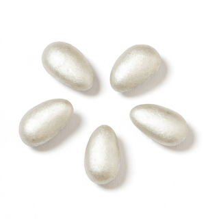Fascionella Argentati Busta 100 G