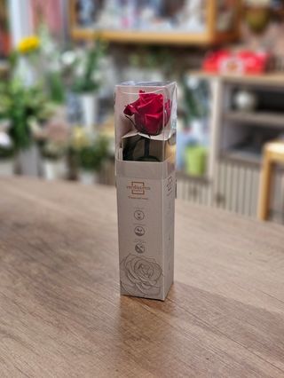 rosa stabilizzata medi cm 27