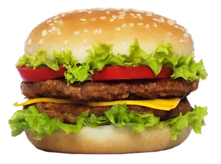 Double Burger