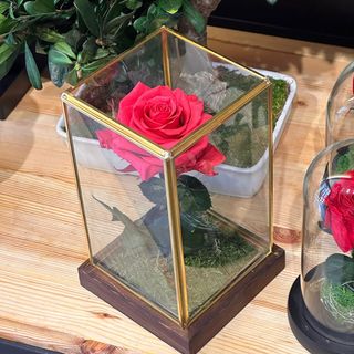 Square Fuchsia Eternal