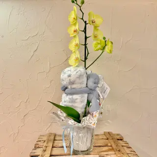 Orquídea con peluche 