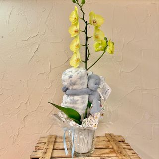 Orquídea con peluche 