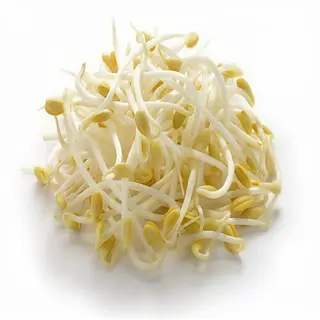Brotes De Soja Salteados