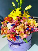 კოლოფი #3