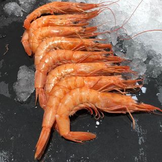 Gamba blanca  cocida Huelva   1kg