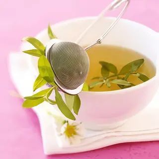 Verveine