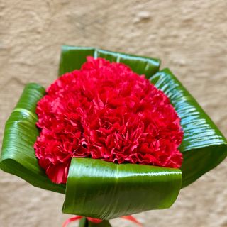 Ramo ofrenda clavel rojo 