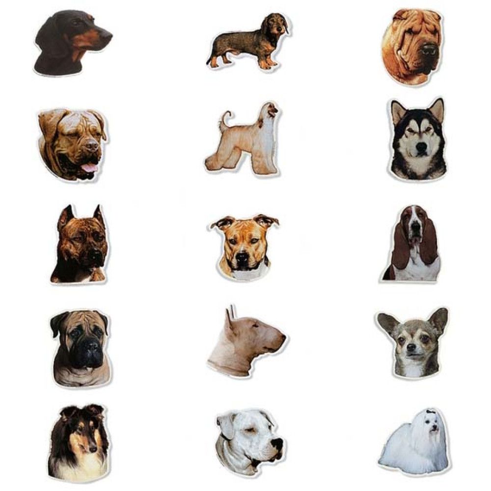 Ukrašavanje kućanstva mačke