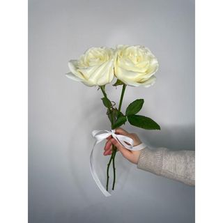 Biała Róża 60 cm, 2 szt