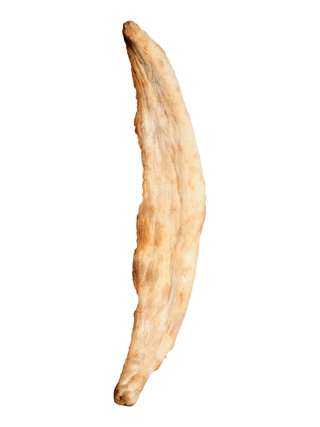 კახური შოთი