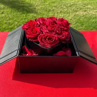 Red heart