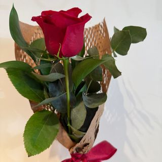 Ramo rosa vermelha