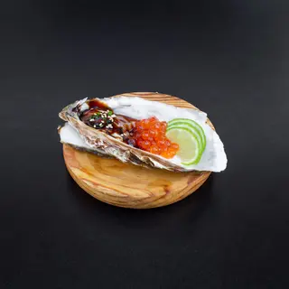 Crassostrea (1pieza)