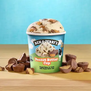 Peanut butter - Gelato al burro d'arachidi con pezzi al burro d'arachidi ricoperti di cacao - solo barattolo