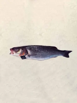 Lubina (750 Gr.)