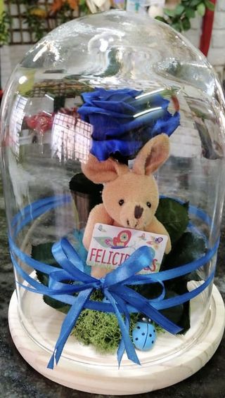 Cupula De Rosa Preservada