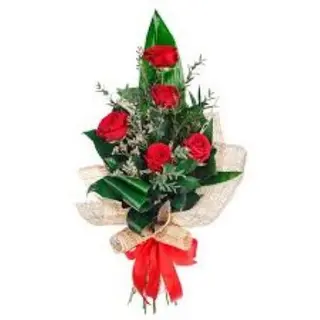 5 Rose Rosse