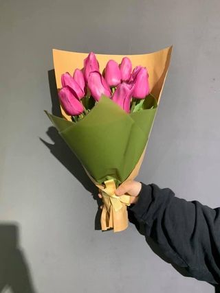 ვარდისფერი ფოლანდიური ტიტები  10 ცალი