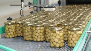 Aceituna Verde con Hueso Bote 400 grs