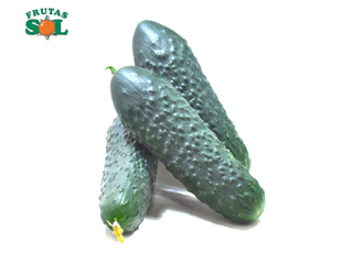 Pepino (1 Kg Aprox)