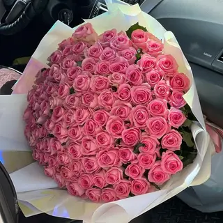 Ranialy
