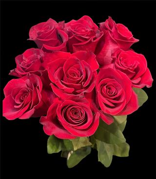 Buchet 9 TRANDAFIRI +Breloc