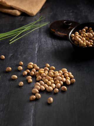 Faba Amarilla (500 G.)