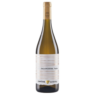 Falanghina Cantina Losito