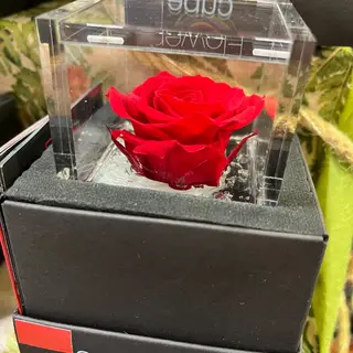 Rosa eterna pequeña Flower cube roja y de colores en caja de metacrilato