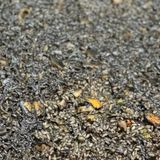 Arroz Negro (1 Ración)