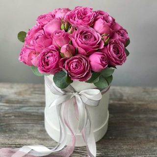 პიონისებური სპრეი ვარდები ყუთში (s)