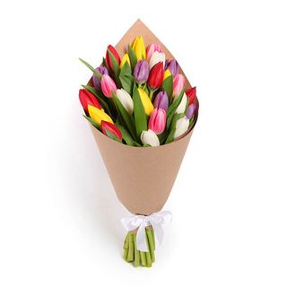 Miks Tulipanów 7 szt 