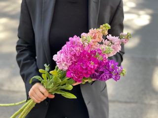 ფერადი შოპაი 5 ცალი