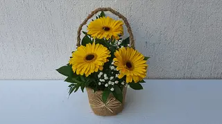 Korpa gerber