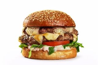 Double Cheeseburger