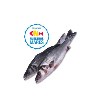 Lubina 700 - 800 Gr.