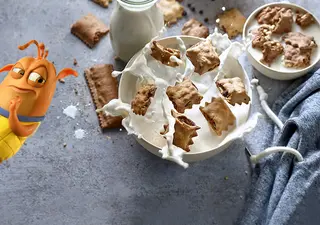Choco Flakes